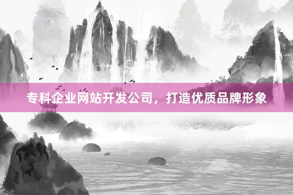 专科企业网站开发公司，打造优质品牌形象